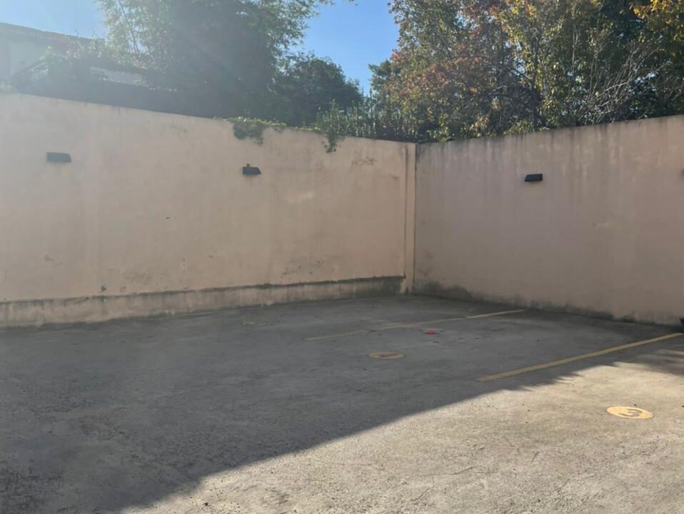 WhatsApp Image 2022-05-06 at 10.36.32 AM