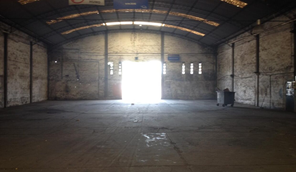 WhatsApp Image 2022-11-10 at 16.42.07 (1)