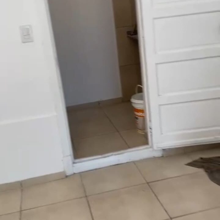 22596e61-2897-42f8-8894-d7e9a5ee1562