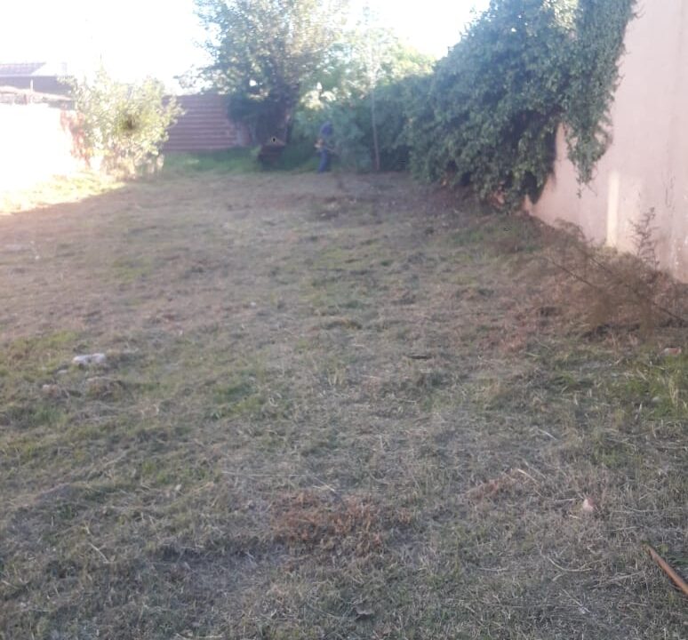 WhatsApp Image 2024-07-19 at 11.41.21