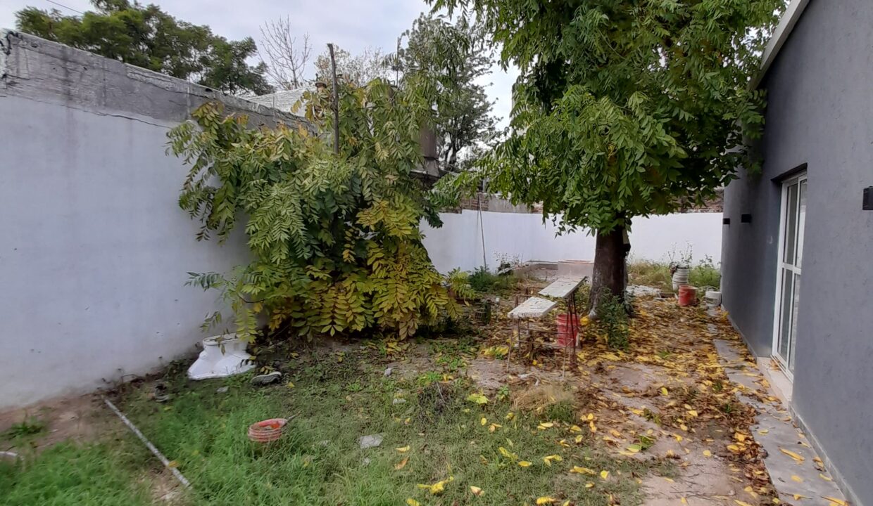 WhatsApp Image 2024-08-03 at 09.43.30 (1)
