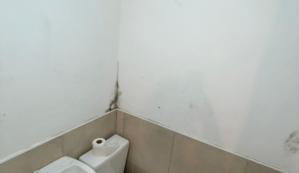 WhatsApp Image 2024-12-02 at 13.44.26 (1)