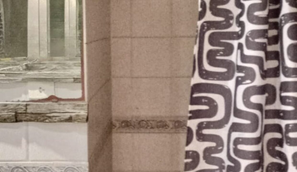 1733927196_1000424575