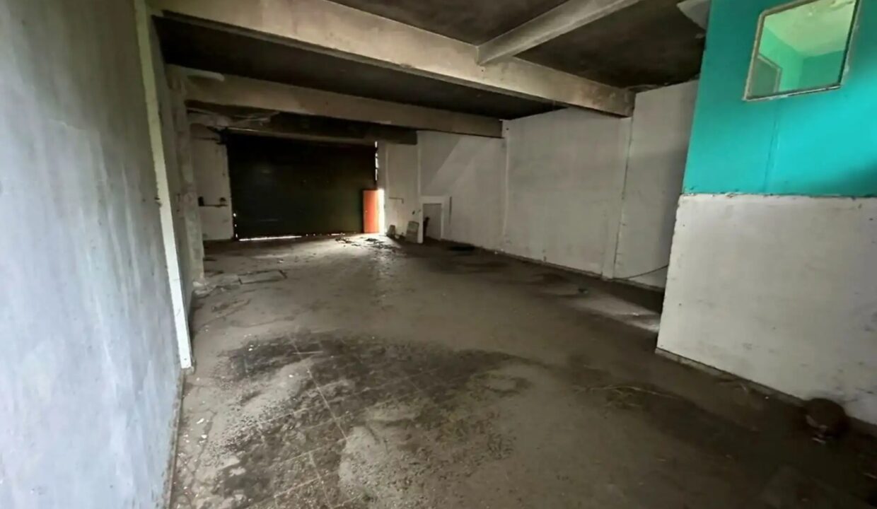 image (3)
