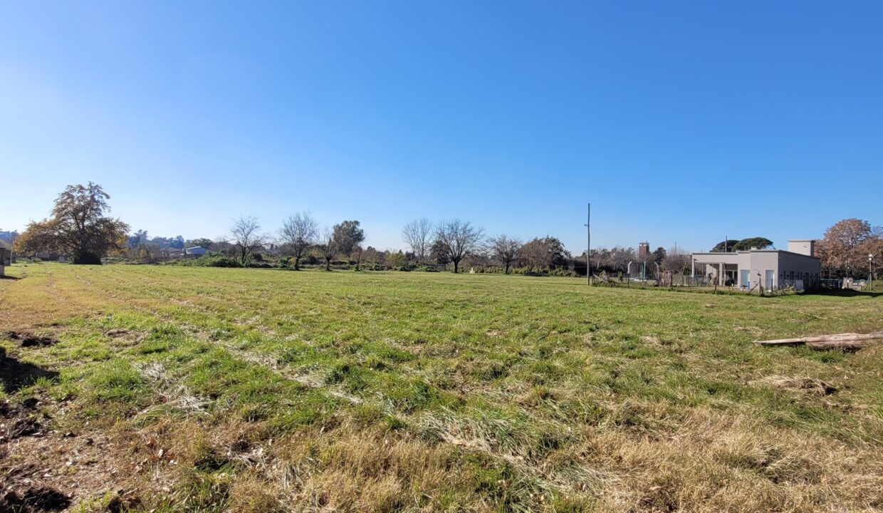 WhatsApp Image 2025-07-22 at 12.13.06