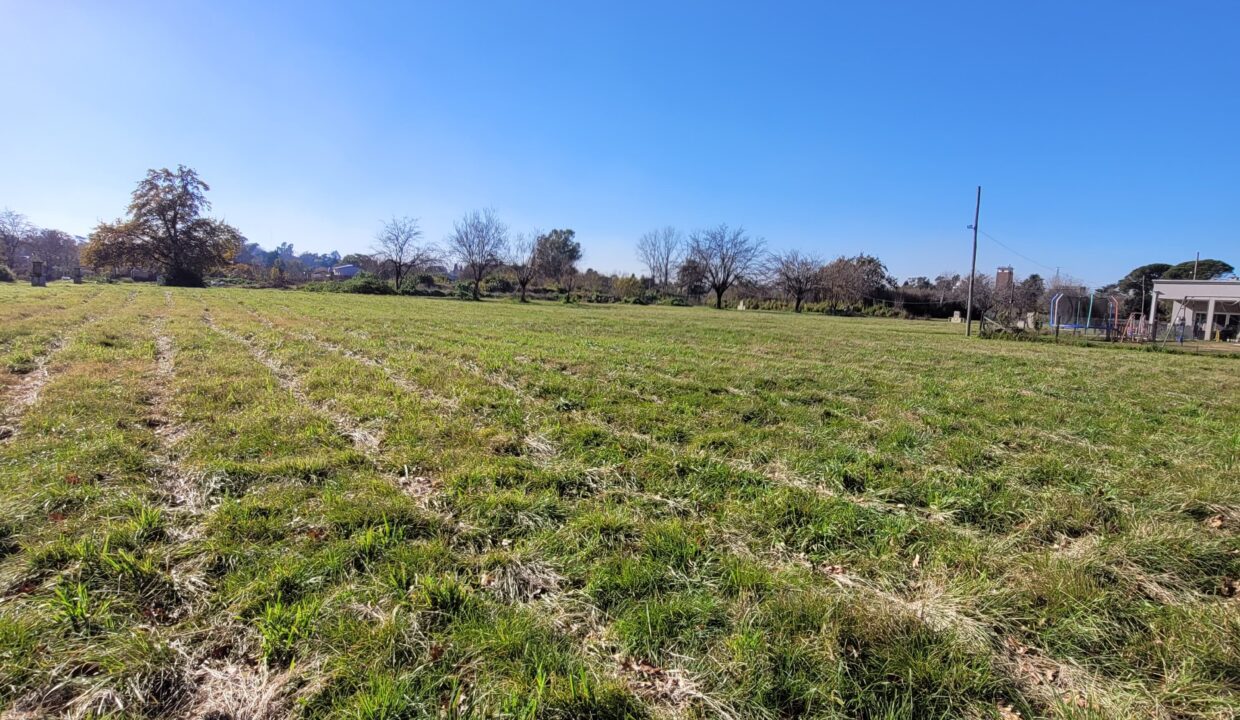 WhatsApp Image 2025-07-22 at 12.13.07 (1)