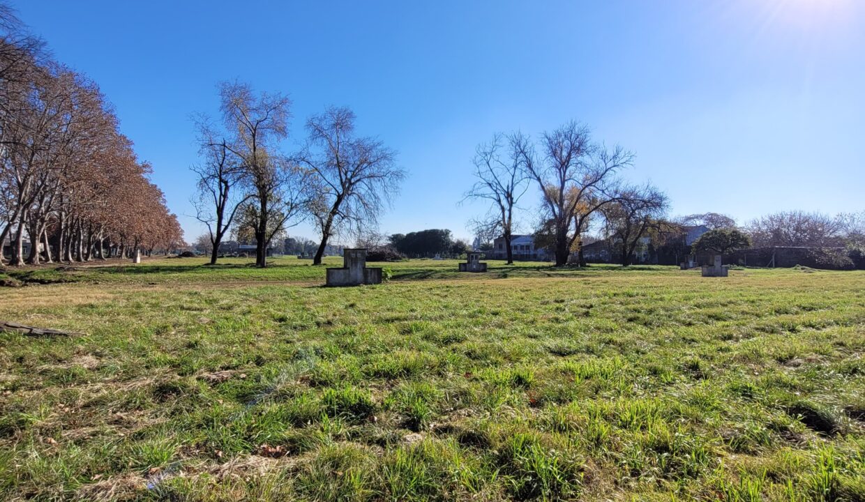 WhatsApp Image 2025-07-22 at 12.13.08