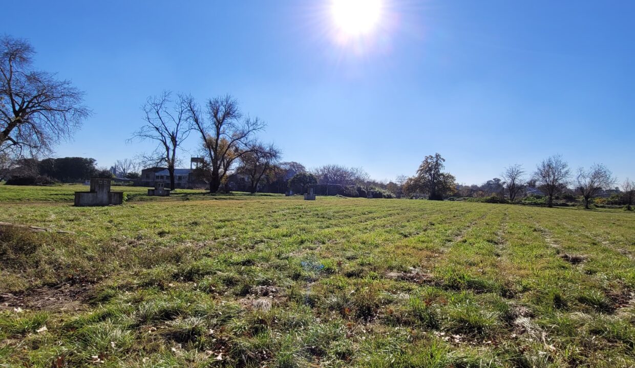 WhatsApp Image 2025-07-22 at 12.13.08 (2)