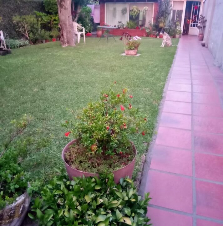 WhatsApp Image 2025-10-07 at 10.38.40 AM