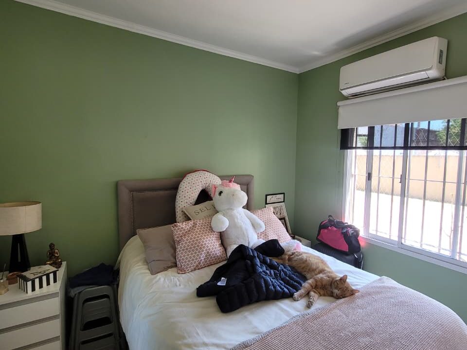 WhatsApp Image 2025-11-17 at 15.49.04