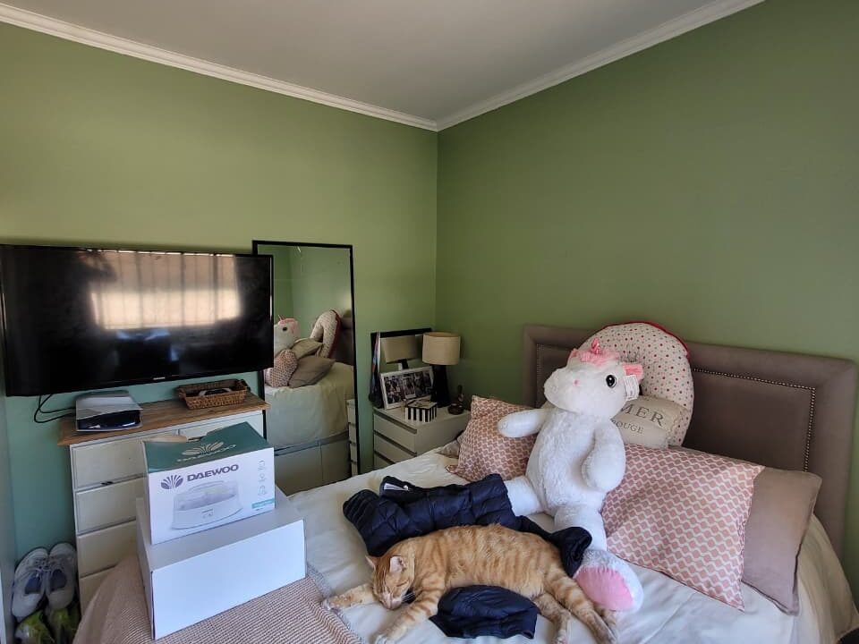 WhatsApp Image 2025-11-17 at 15.49.06