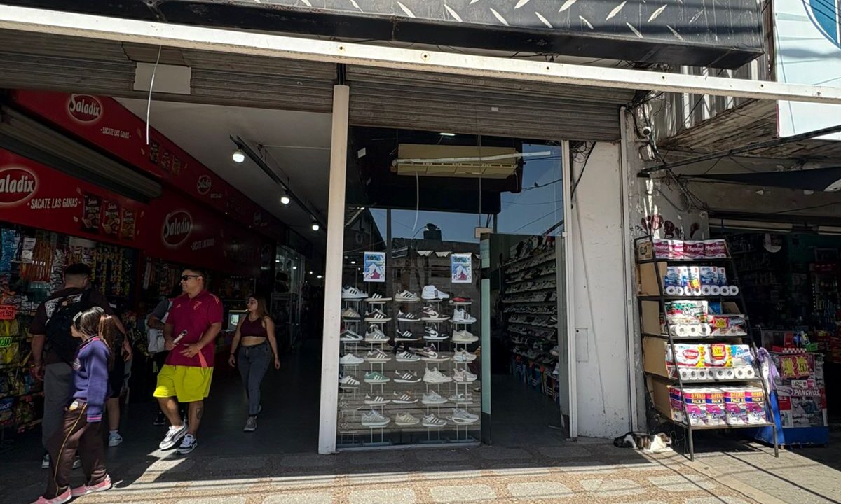 WhatsApp Image 2025-11-18 at 11.30.38 (1)