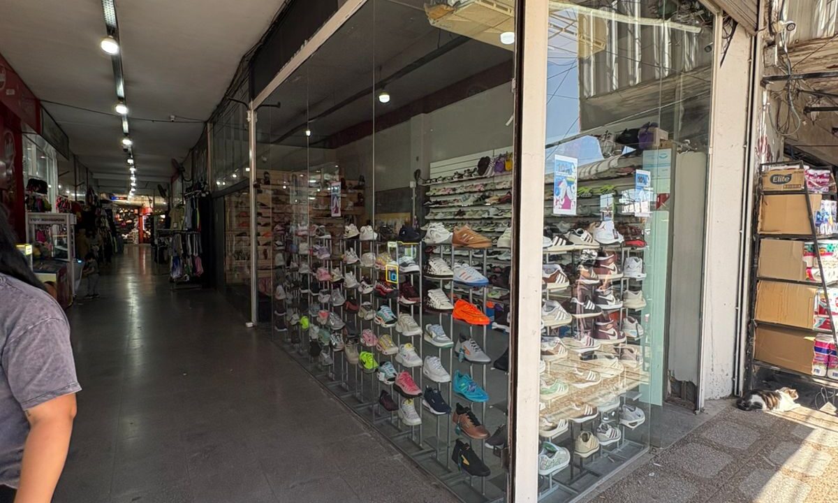 WhatsApp Image 2025-11-18 at 11.30.38