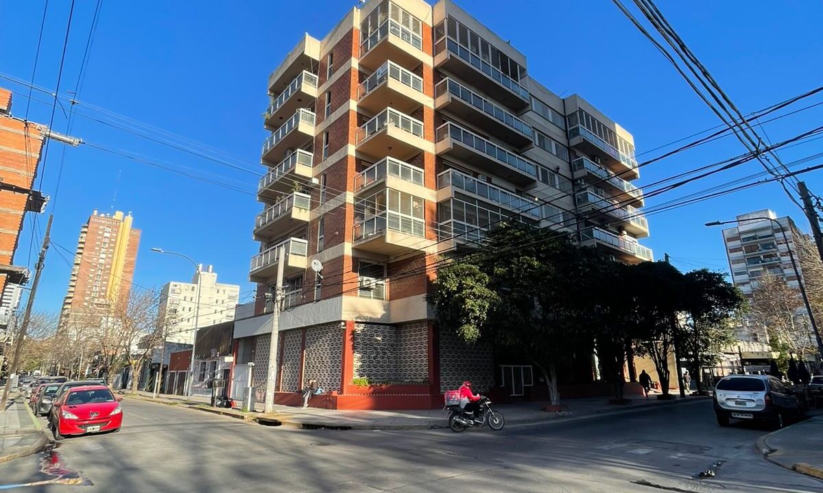 WhatsApp Image 2026-01-20 at 11.13.51