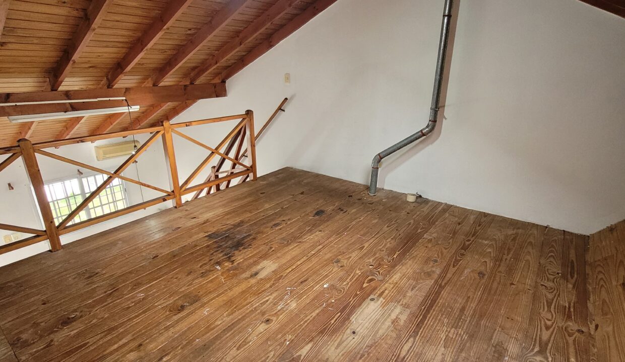 WhatsApp Image 2025-07-29 at 16.07.56