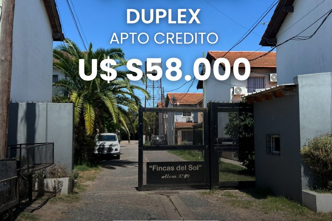 WhatsApp Image 2026-02-11 at 12.59.36