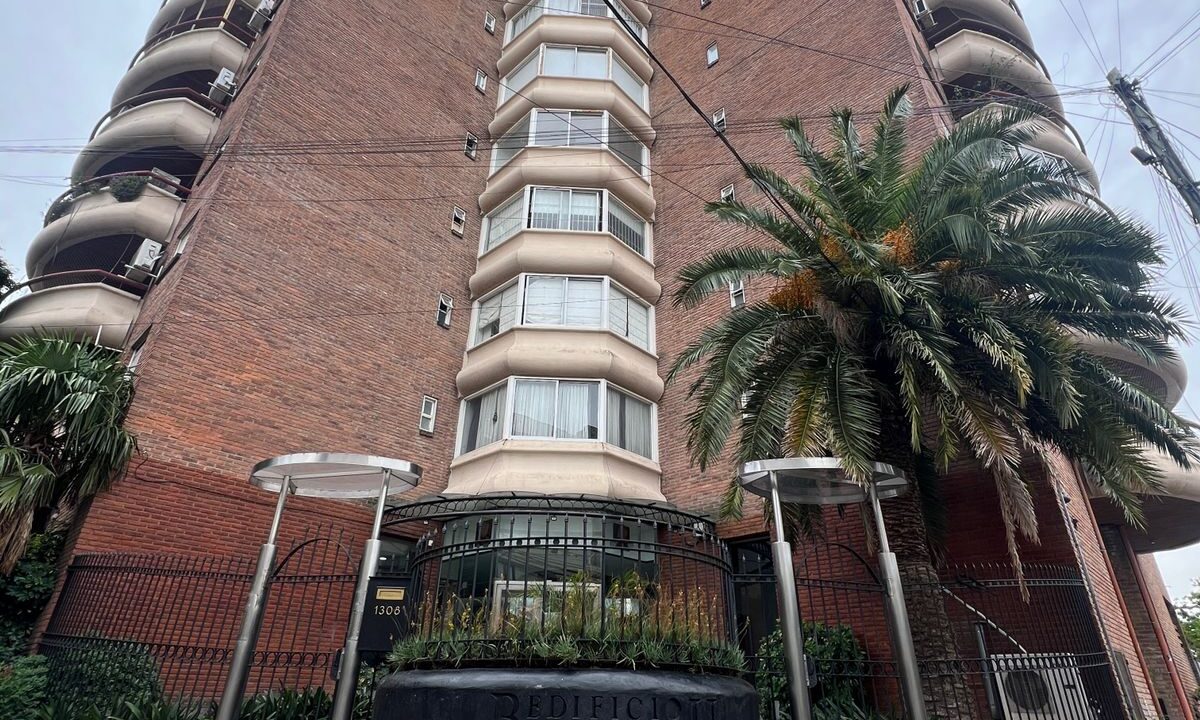 WhatsApp Image 2026-02-12 at 1.30.15 PM