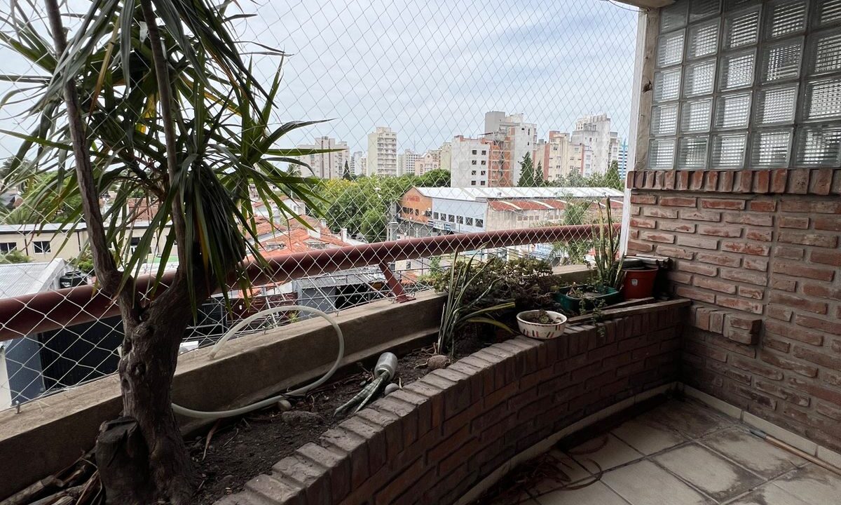 WhatsApp Image 2026-02-12 at 3.19.47 PM (2)