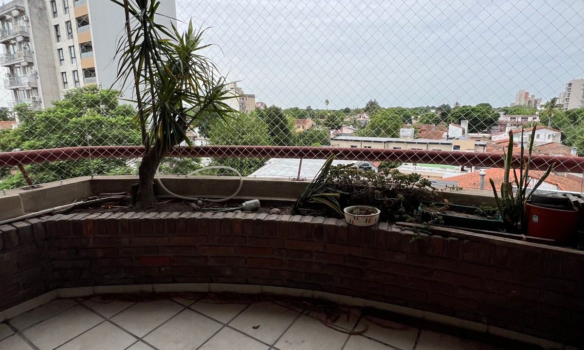 WhatsApp Image 2026-02-12 at 3.19.48 PM