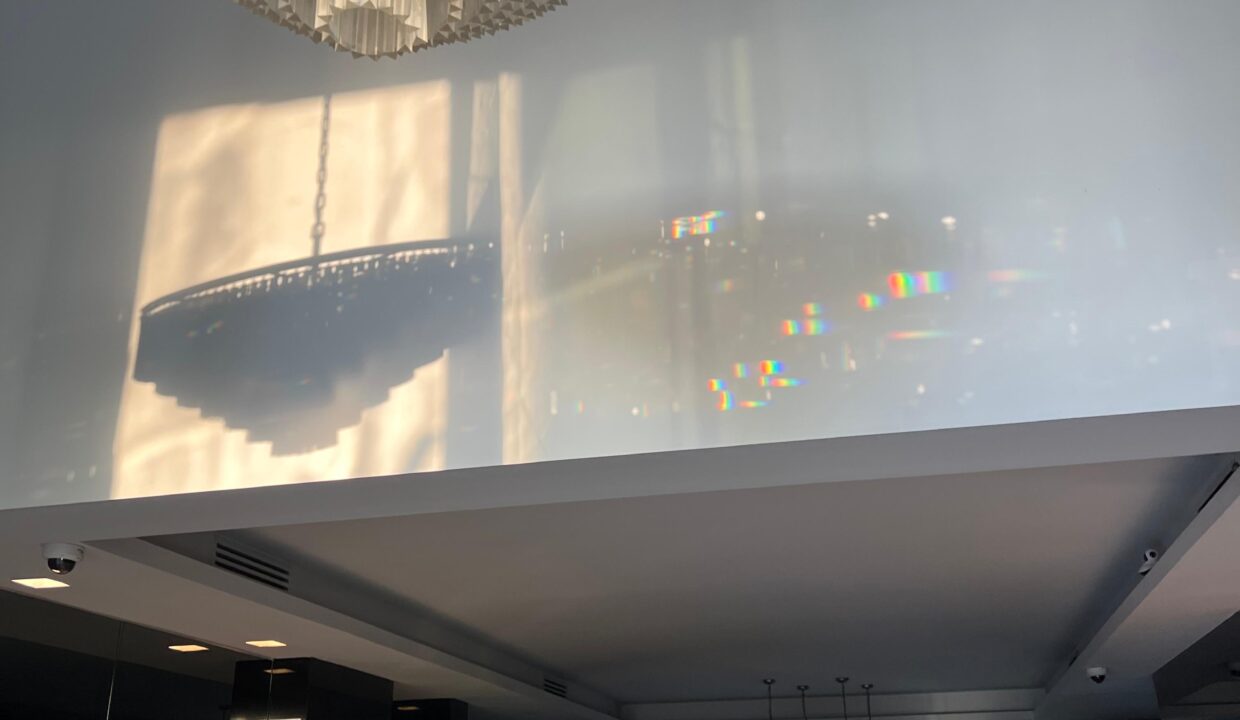 WhatsApp Image 2026-02-12 at 4.57.57 PM