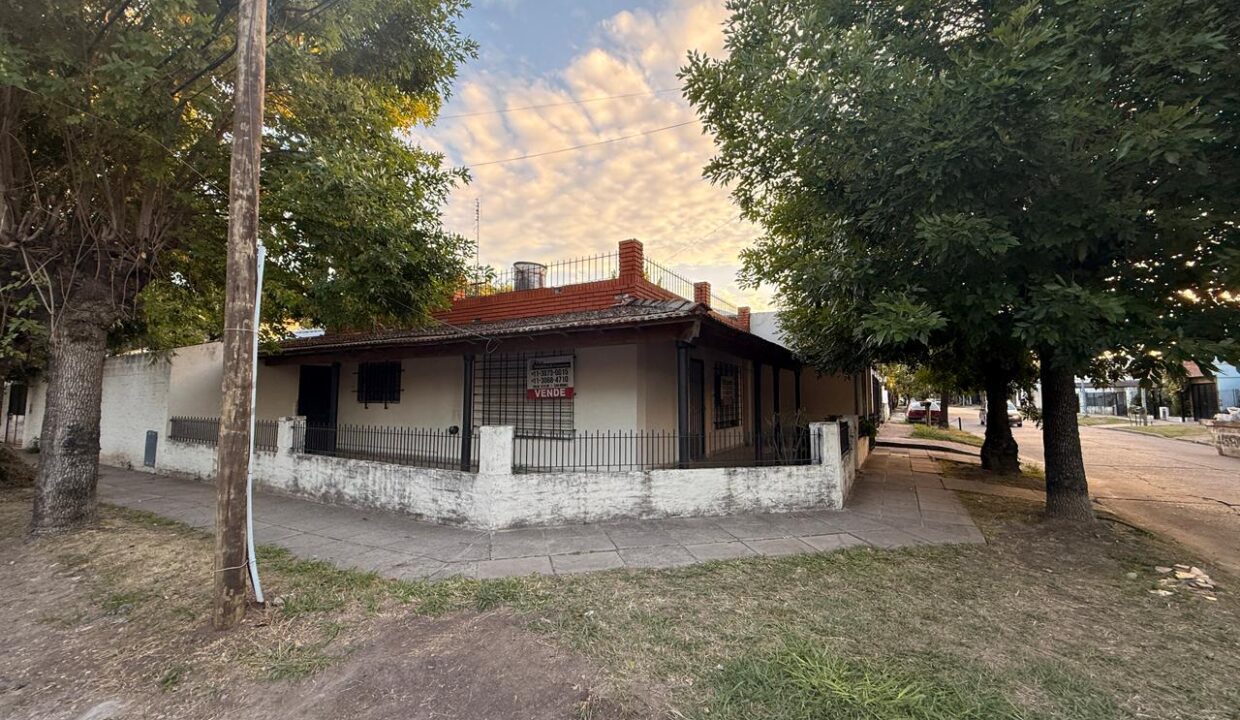 WhatsApp Image 2026-02-13 at 19.27.02 (1)