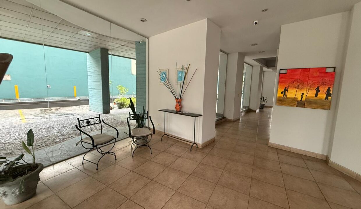 WhatsApp Image 2026-02-19 at 13.33.01