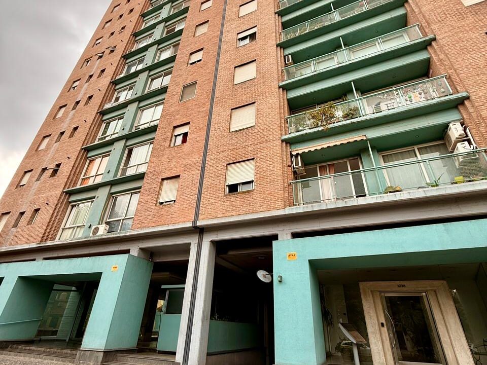 WhatsApp Image 2026-02-19 at 13.33.23