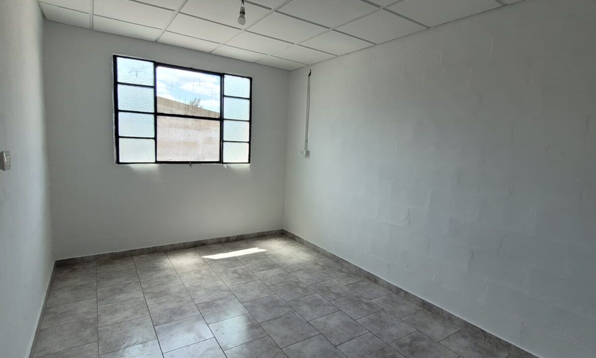 WhatsApp Image 2026-02-25 at 16.47.08 (1)