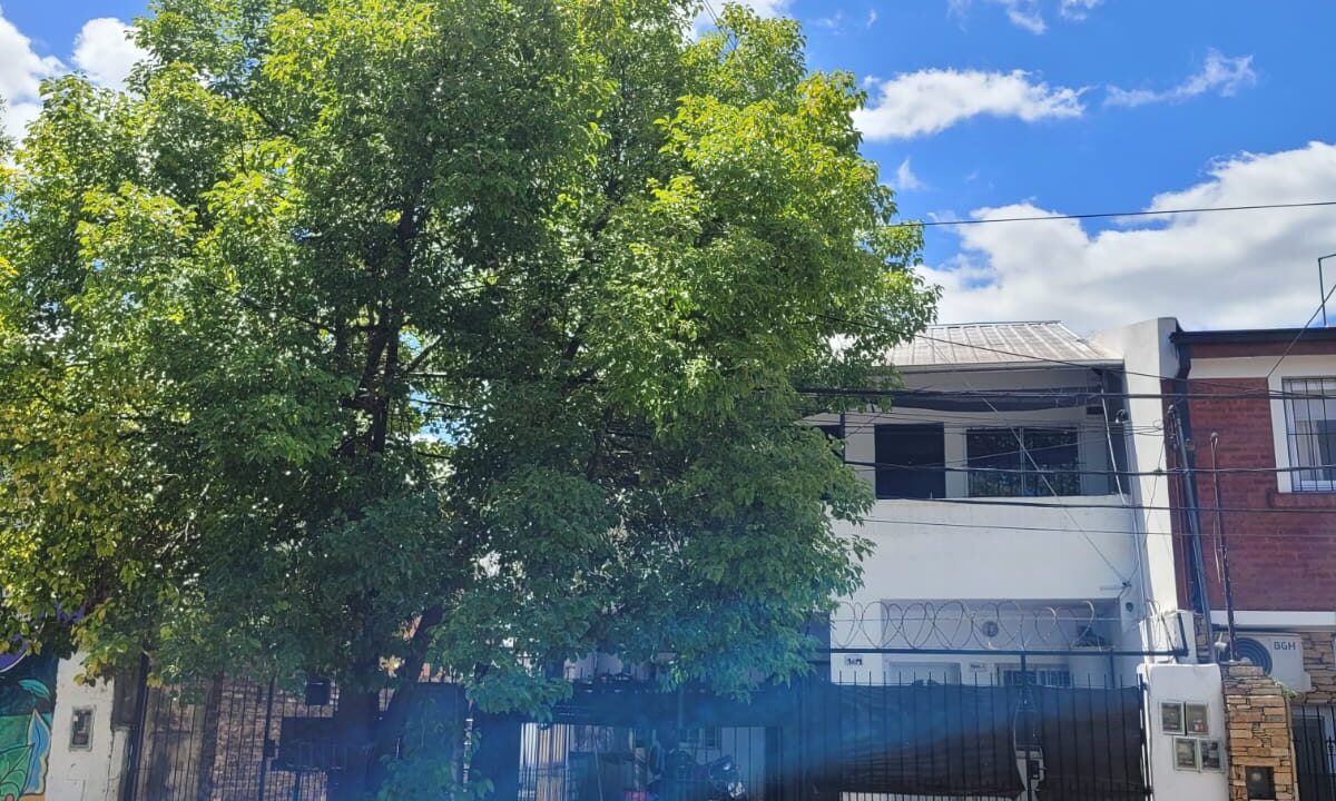 WhatsApp Image 2026-02-25 at 16.47.15 (2)