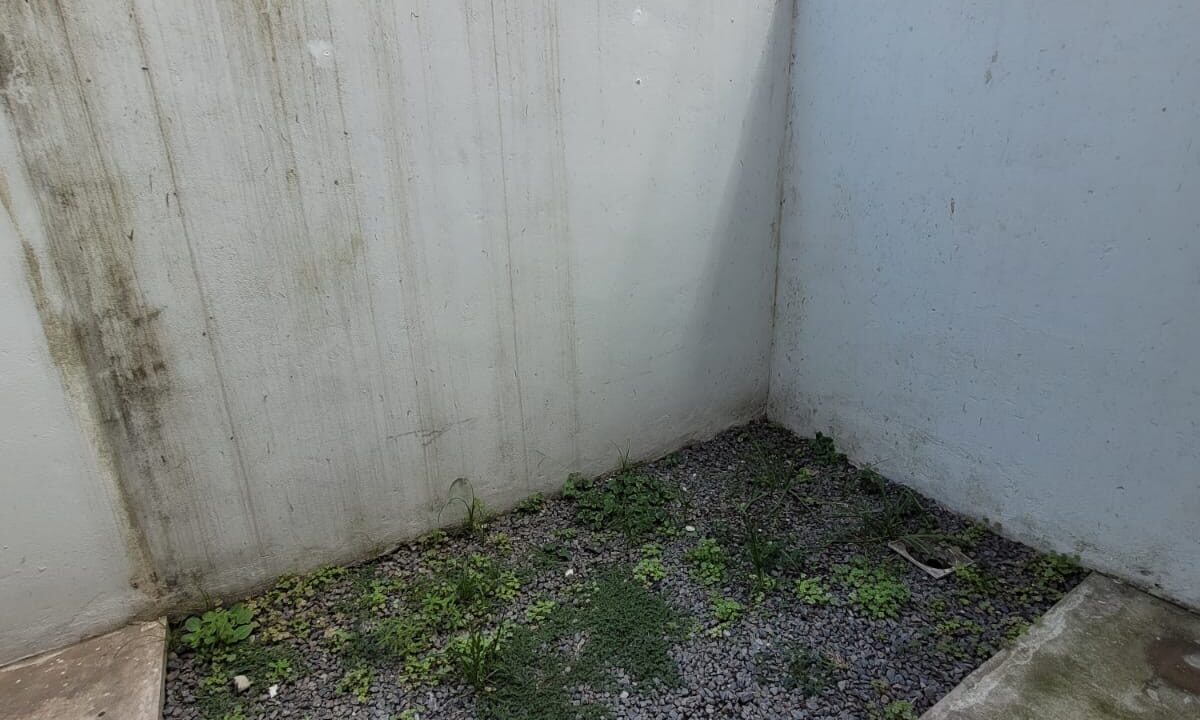 WhatsApp Image 2026-02-25 at 16.47.18 (1)