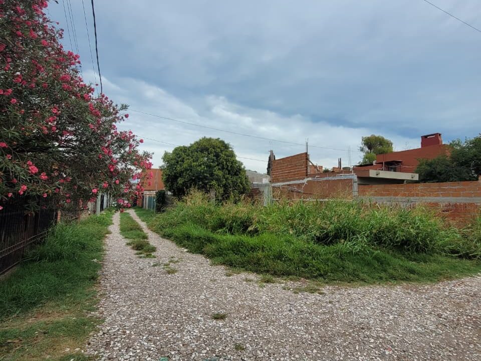 WhatsApp Image 2026-03-07 at 10.47.07