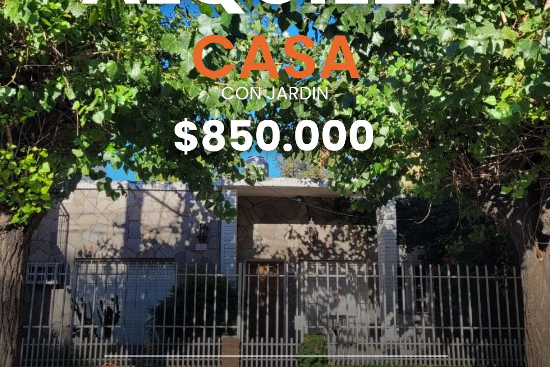 WhatsApp Image 2026-03-25 at 17.06.29 (4)