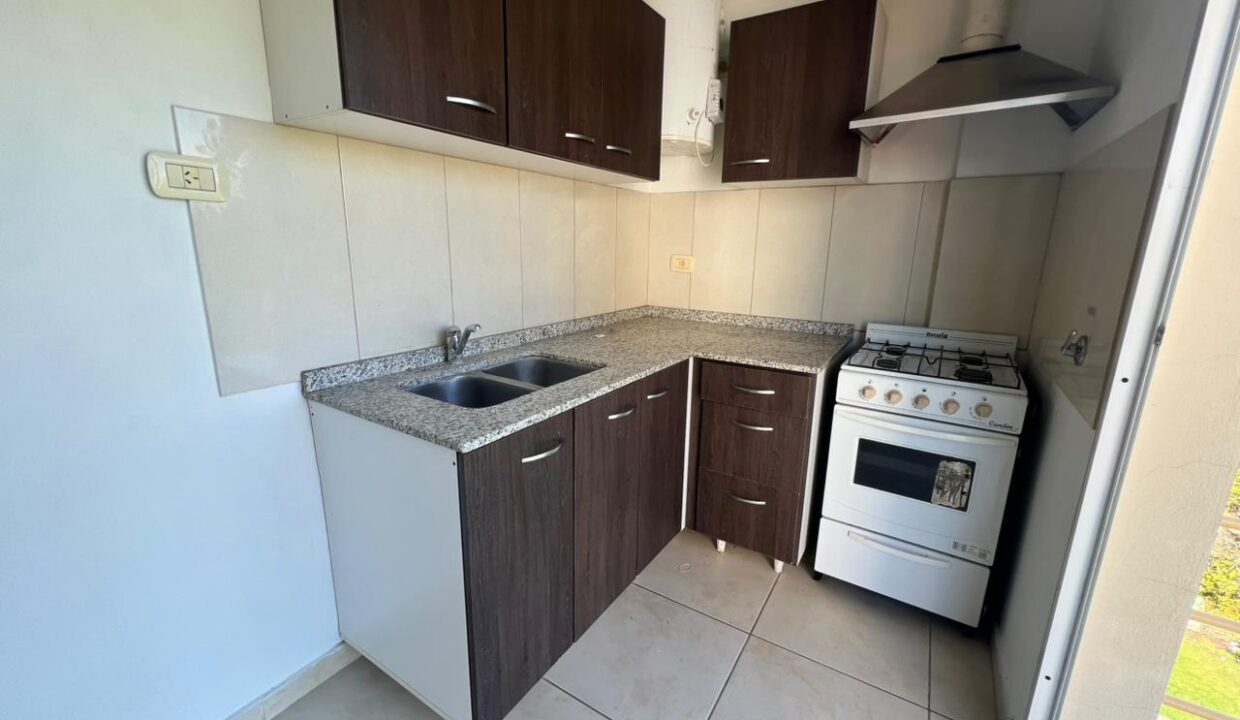 WhatsApp Image 2026-03-31 at 15.05.38 (4)