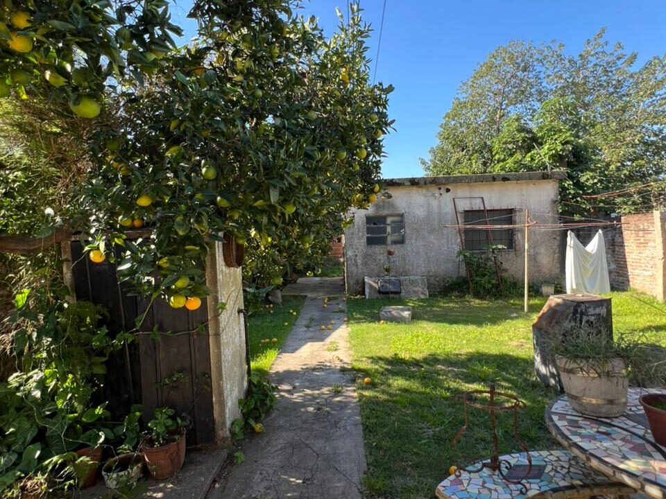 WhatsApp Image 2026-04-10 at 15.21.17