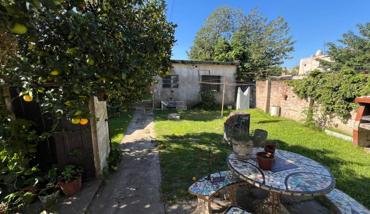 WhatsApp Image 2026-04-10 at 15.21.21