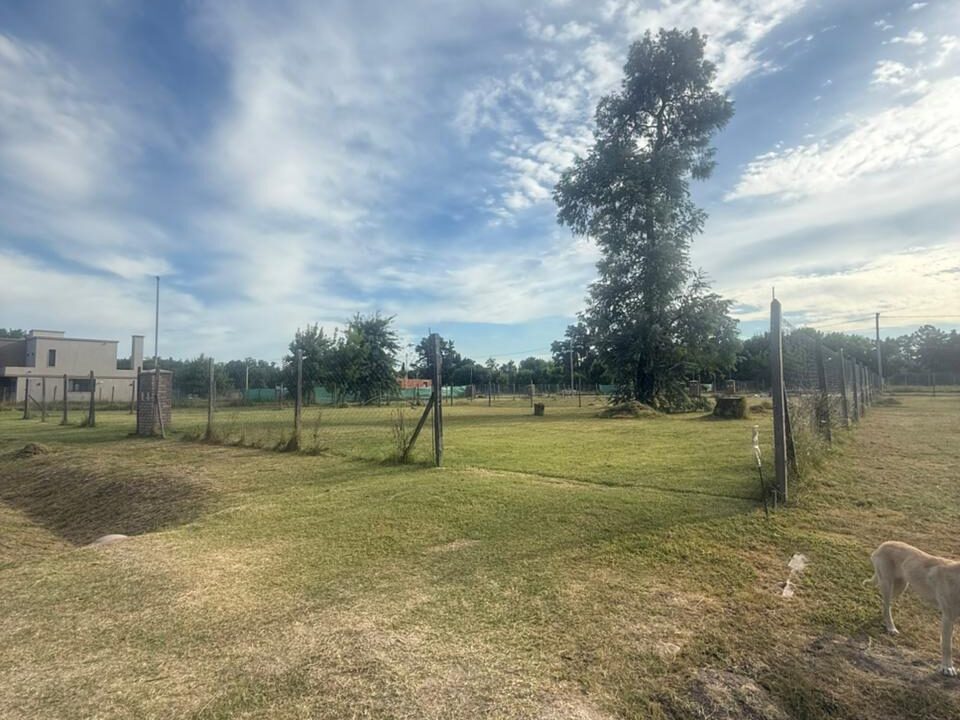 WhatsApp Image 2026-04-21 at 13.49.07