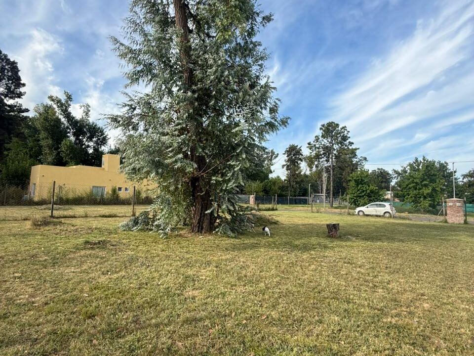 WhatsApp Image 2026-04-21 at 13.49.08 (1)