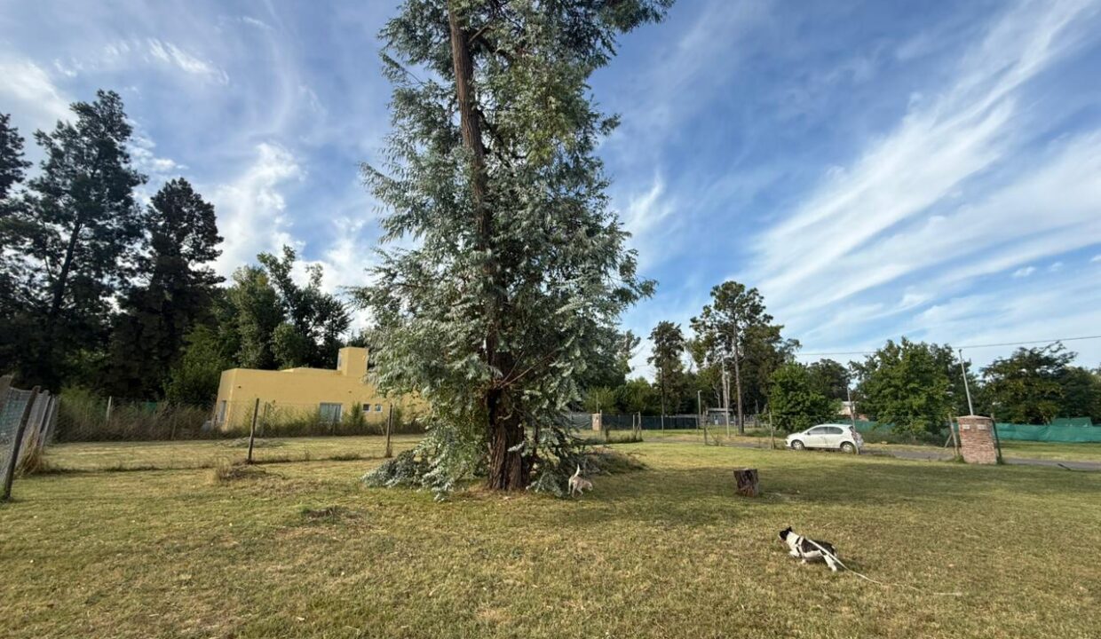 WhatsApp Image 2026-04-21 at 13.49.08