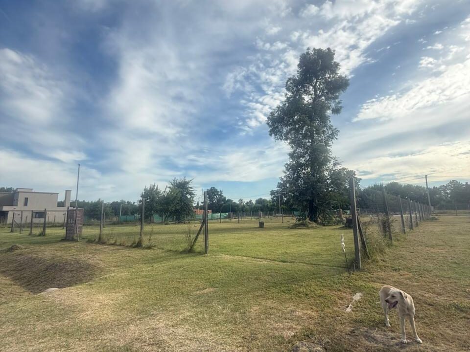 WhatsApp Image 2026-04-21 at 13.49.08 (2)