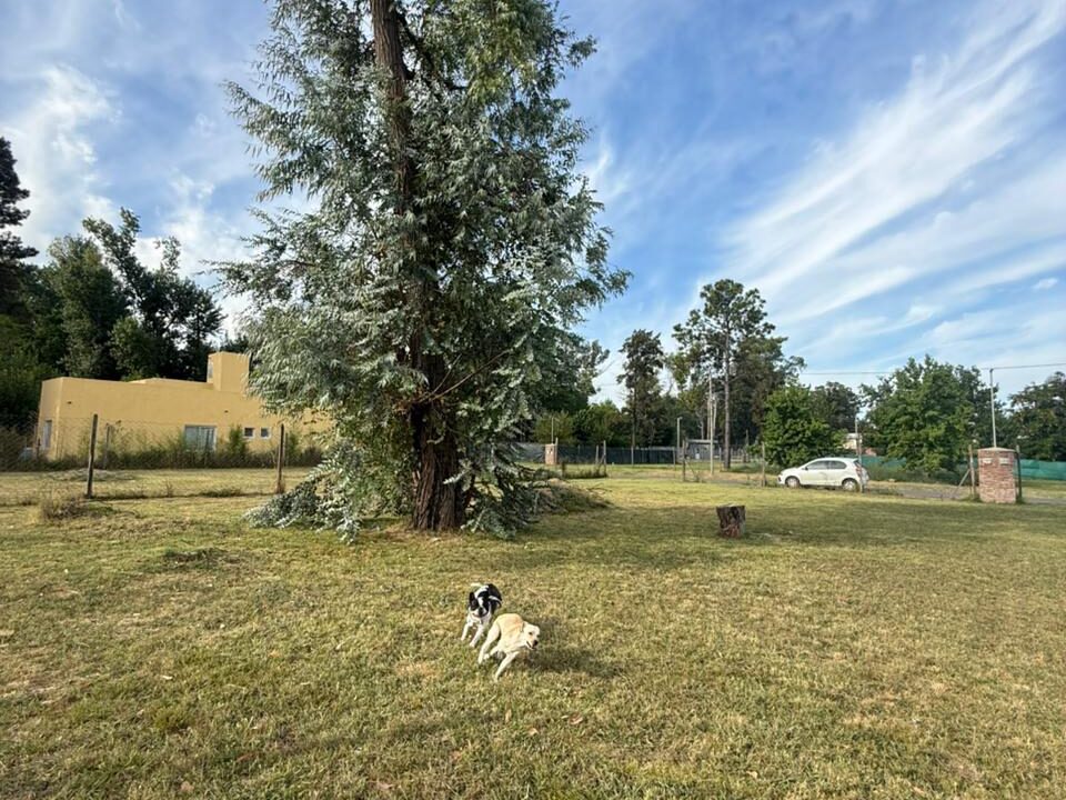 WhatsApp Image 2026-04-21 at 13.49.10